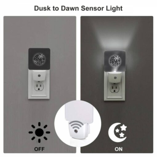 Night Light Set Of 2, A Black And White Image Of A Beach At Night With A Palm Tree And A Sunset. -Acrylic Night Light Shop 0265f2712b557647b4cca6d14fbb6b3b82244059