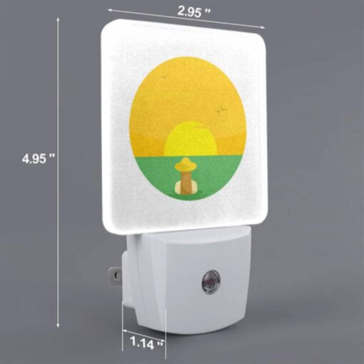 Night Light Set Of 2, A Sunset With A Bird Flying In The Sky. -Acrylic Night Light Shop 09bb07a4a114c6ac9429517a084ba2d4ef94cce0