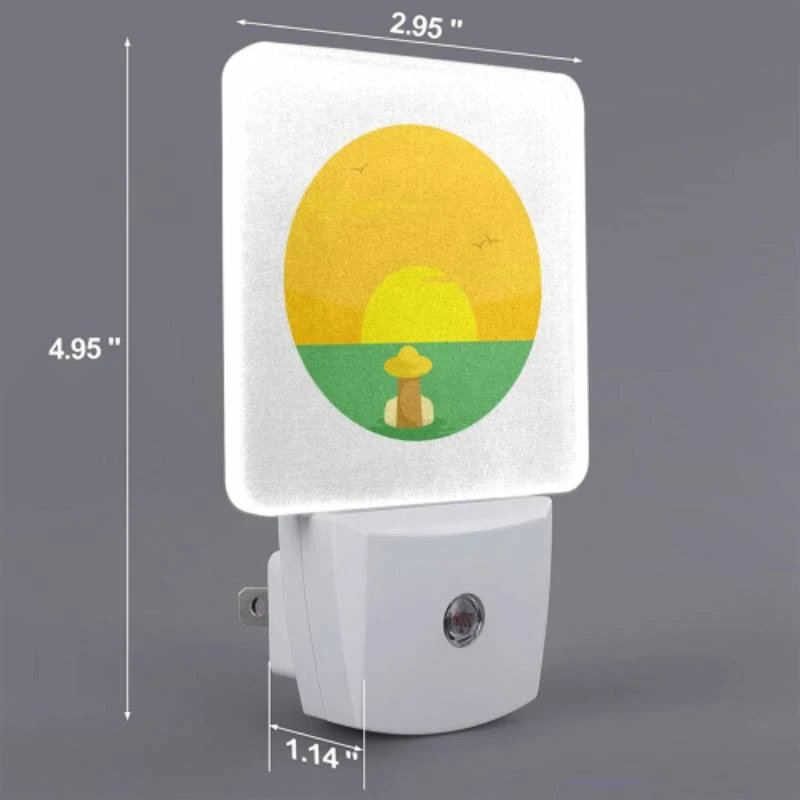Night Light Set of 2, A sunset with a bird flying in the sky. Night Light Set Of 2, A Sunset With A Bird Flying In The Sky. -Acrylic Night Light Shop 09bb07a4a114c6ac9429517a084ba2d4ef94cce0