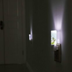 Night Light, A Cartoon Of A Hill With A Palm Tree And A Bottle Of Wine. -Acrylic Night Light Shop 0c3a85c62485572bd2ff156f79cf8ee754cde578