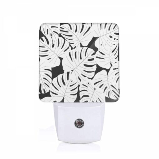 Night Light, A Black And White Photo Of A Leafy Plant. -Acrylic Night Light Shop 0c892f7064b6d013ebd02b7b8200055902e5adcd