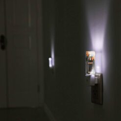Night Light, A Black Frame With A Skull And Pumpkins In The Background. -Acrylic Night Light Shop 107b8e94f3a61d2b18ca2493411025d5c9be532c