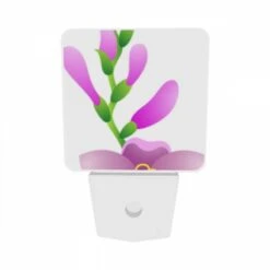 Night Light Set Of 2, Beb59c09-7f6f-494d-ba03-ec9365d7d8f6.jpeg -Acrylic Night Light Shop 125f3626278ff785adc5907b9d40e1575f1eb09e