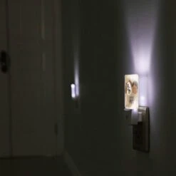 Night Light, A Cartoon Of A Dog And A Black Child With The Words "Little Pet" Written Underneath Them. 5 Night Light, A Cartoon Of A Dog And A Black Child With The Words "Little Pet" Written Underneath Them. -Acrylic Night Light Shop 1265cbefc0706f532e74798c8afe087c26f58665