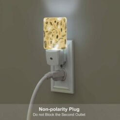 Night Light, A Collection Of Various Plants And Fruits. -Acrylic Night Light Shop 16b9277f0d9ea25387803546021ec418d2dea8af