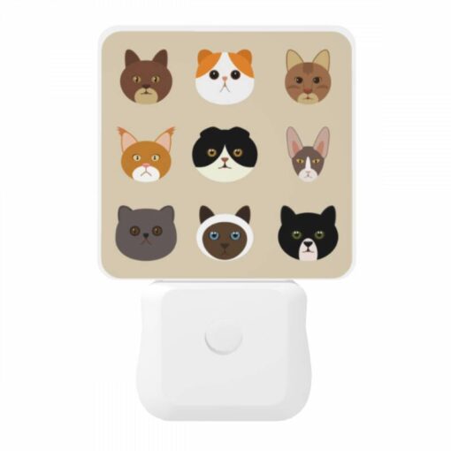 Night Light, A Collection Of Cat Images -Acrylic Night Light Shop 1847fe4dd4dbecda10d5a33e3b0a50e75c420de5