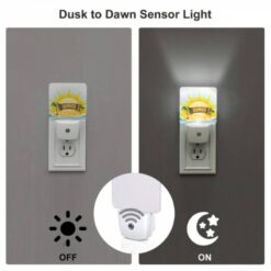 Night Light, A Sunny Day At The Beach With A Sign That Says "Summer". -Acrylic Night Light Shop 1940dfc0686d895d57ff1756dac40bcccd8f9228