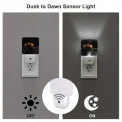 Night Light Set Of 2, A Carved Pumpkin Is Sitting On A Black Box. -Acrylic Night Light Shop 1d566f39ec88c9033db64a1dfdcfd530f5a506fc