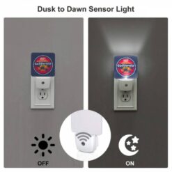 Night Light Set Of 2, A Logo For Santa Monica Beach California. -Acrylic Night Light Shop 1e3700d81d14a372b20d6d7d9fd4c89f049a5343