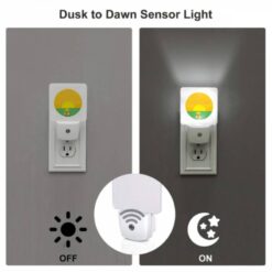 Night Light Set Of 2, A Sunset With A Bird Flying In The Sky. -Acrylic Night Light Shop 21222724aa061ee94bc0db53f9eb8db30b6a5dcb