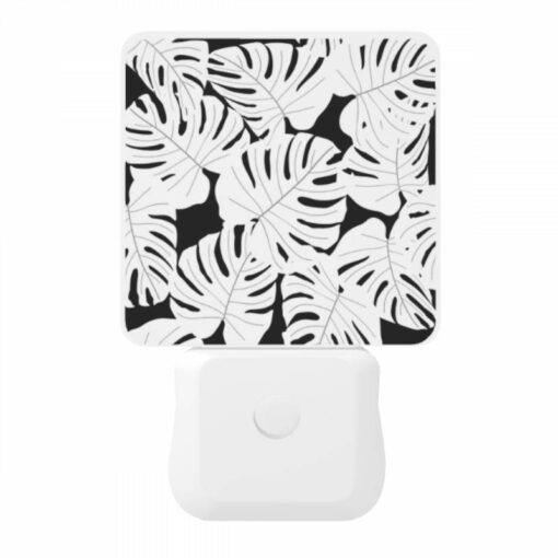 Night Light, A Black And White Photo Of A Leafy Plant. -Acrylic Night Light Shop 29e410ce26e2f4e2ddc57ad47204eb551a3bf2da