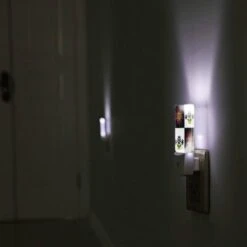 Night Light, A Black And White Image Of A Flower With A Pink Center. 5 Night Light, A Black And White Image Of A Flower With A Pink Center. -Acrylic Night Light Shop 2f8cc886ede131fe2b24753e747e97e6854d1090