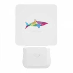 Night Light, A Colorful Fish Is Shown In A White Background. -Acrylic Night Light Shop 2f911f719940eb7fee18a57ef0a1a543a950ac0d