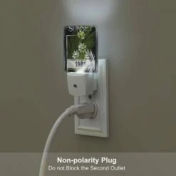 Night Light Set Of 2, A Picture Of A Sunset With A Palm Tree In The Foreground. 4 Night Light Set Of 2, A Picture Of A Sunset With A Palm Tree In The Foreground. -Acrylic Night Light Shop 31e5bf5e7c47d6fa8e771c562a9d7bcb11479a25