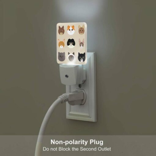 Night Light, A Collection Of Cat Images -Acrylic Night Light Shop 36b746641ad16d5f16763187684e7227d1f6e063