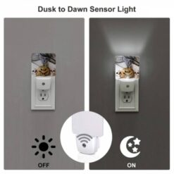 Night Light Set Of 2, Three Skulls Are Placed Next To A Pumpkin. -Acrylic Night Light Shop 4450e8d6045fb3cf16e11619224eeb446438809d