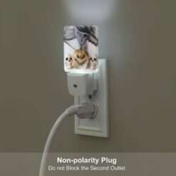 Night Light Set Of 2, Three Skulls Are Placed Next To A Pumpkin. -Acrylic Night Light Shop 4d1b0b6435c939f4ea0b01a0ea277472a58102dc