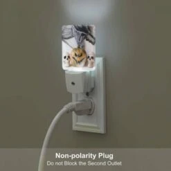 Night Light Set Of 2, Three Skulls Are Placed Next To A Pumpkin. -Acrylic Night Light Shop 4d1b0b6435c939f4ea0b01a0ea277472a58102dc