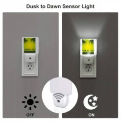 Night Light Set Of 2, A Green And Yellow Sunset With Palm Trees In The Background. -Acrylic Night Light Shop 4db8afe04012fa10d12266bbefd94a0ec5d2eb7a