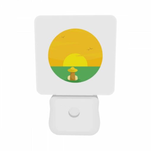 Night Light Set Of 2, A Sunset With A Bird Flying In The Sky. -Acrylic Night Light Shop 4fa4fd02d92cee292fc8bc5f0921eacbbee0dbe1