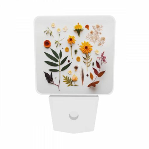 Night Light Set Of 2, A Variety Of Flowers And Leaves Are Arranged On A White Surface. -Acrylic Night Light Shop 54b4787f0ec16401ad71b621d7b18f12eb85fb94