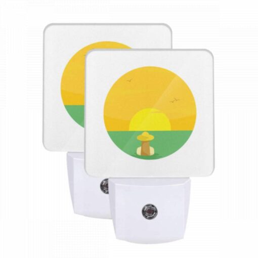 Night Light Set Of 2, A Sunset With A Bird Flying In The Sky. -Acrylic Night Light Shop 562996034cf47e72ef3916e106551d160a0f7102