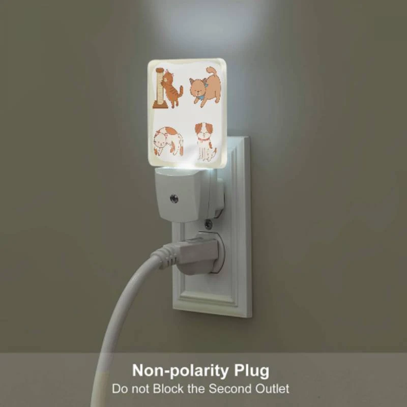 Night Light, Four different colored cats are shown playing with a toy. Night Light, Four Different Colored Cats Are Shown Playing With A Toy. -Acrylic Night Light Shop 5b9071827f7565e6a913a08566f3ba40b3b2f3a3