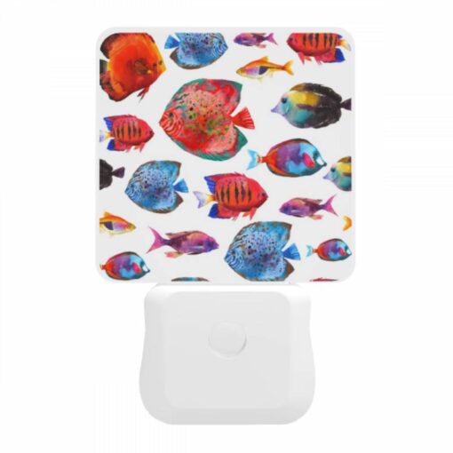 Night Light, A Colorful Painting Of Fish In A Blue -Acrylic Night Light Shop 5ba295f1afd52464374ac0665670bd394b053d93