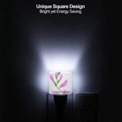 Night Light Set Of 2, Beb59c09-7f6f-494d-ba03-ec9365d7d8f6.jpeg -Acrylic Night Light Shop 67927bb08d5171f9a25ab9fcfa881470405d437c