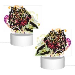 Front Page -Acrylic Night Light Shop 78f7c6b6ae2ac39549dc61bb8c1943a8968f9d04