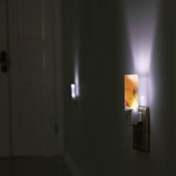 Night Light, A Sunset With A Palm Tree And Birds In The Background. -Acrylic Night Light Shop 7c3f273fdafcc65a0286ac33abbf090c06ff8787