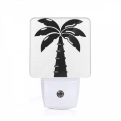 Night Light, A Black And White Image Of A Palm Tree.