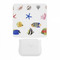 Night Light, A Collection Of Colorful Fish And Sea Creatures. -Acrylic Night Light Shop 8582e25358989f856f10f5b3fe365c8fdc55b98d