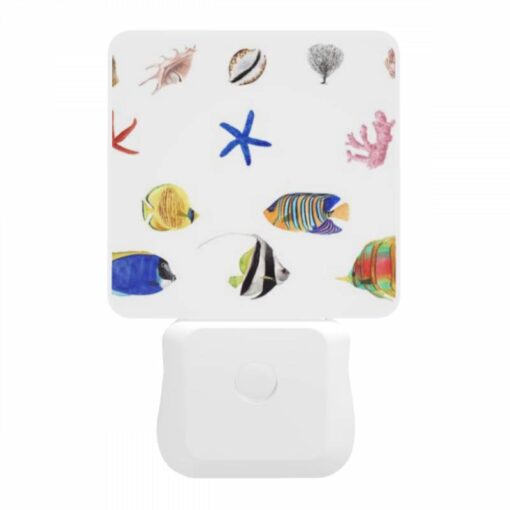 Night Light, A Collection Of Colorful Fish And Sea Creatures. -Acrylic Night Light Shop 8582e25358989f856f10f5b3fe365c8fdc55b98d
