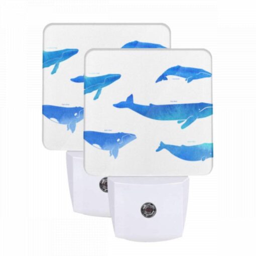 Night Light Set Of 2, A Collection Of Blue Whale Illustrations. -Acrylic Night Light Shop 89a63e97f9e22f4bcd7e8c1ca6601319f55a258d