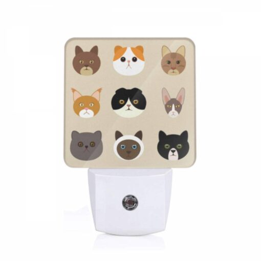 Night Light, A Collection Of Cat Images -Acrylic Night Light Shop 89faed119a10879a62e28eca903ceeea31ecebd7