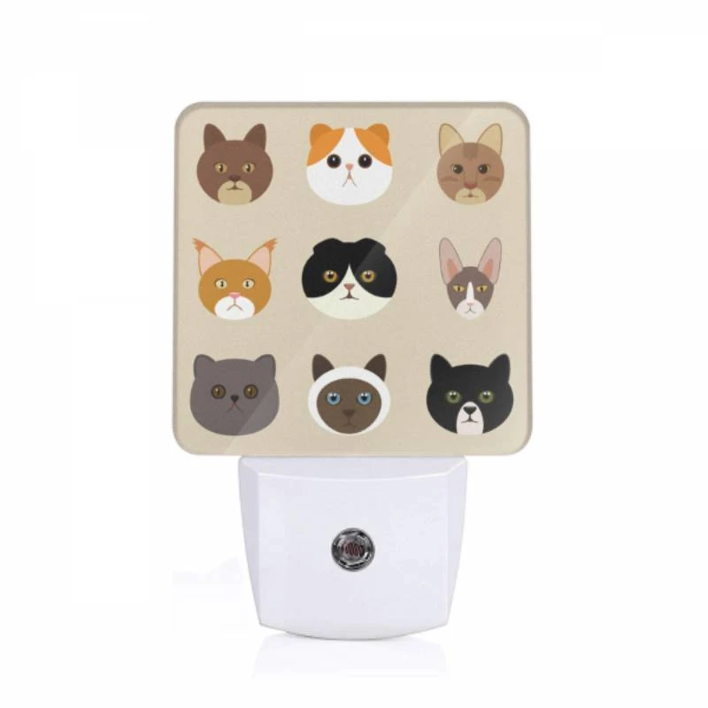 Night Light, A collection of cat images Night Light, A Collection Of Cat Images -Acrylic Night Light Shop 89faed119a10879a62e28eca903ceeea31ecebd7