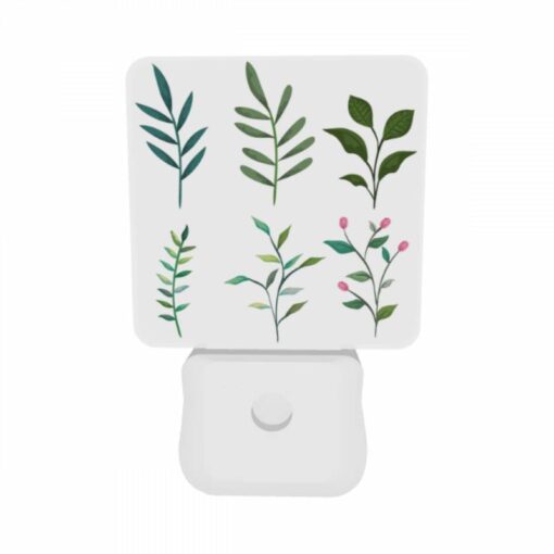 Night Light Set Of 2, Six Different Types Of Leaves Are Shown In A Row. -Acrylic Night Light Shop 8d8f9fc6209e0ed6ef69fffa1df45f79b25f8e4b