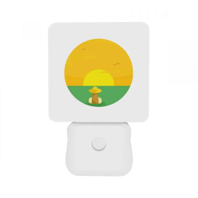 Night Light Set of 2, A sunset with a bird flying in the sky. Night Light Set Of 2, A Sunset With A Bird Flying In The Sky. -Acrylic Night Light Shop 8d91782aa79bd1eb3cbe80b7c870d7775ae65fa4