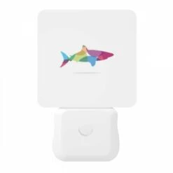 Night Light, A Colorful Fish Is Shown In A White Background. -Acrylic Night Light Shop 8e540bf9f50212e18140909b2a8ee180988403a9