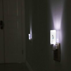Night Light, A Picture Of A Palm Tree On A Beach. -Acrylic Night Light Shop 8f73f95fd2ce0fcfd7254df1823355c2d17795f7