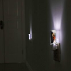 Night Light, A Pumpkin With A Bat And A Ghost Above It. -Acrylic Night Light Shop 97630079b403d44c5ed9167c155c9d733864ab84