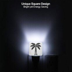 Night Light, A Black And White Image Of A Palm Tree. -Acrylic Night Light Shop 9aea29fad6262b22e25c2d25c0ee8f074f81e064