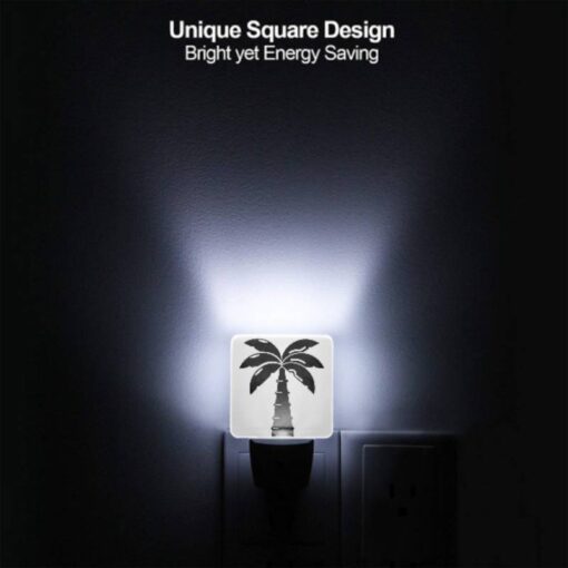 Night Light, A Black And White Image Of A Palm Tree. -Acrylic Night Light Shop 9aea29fad6262b22e25c2d25c0ee8f074f81e064