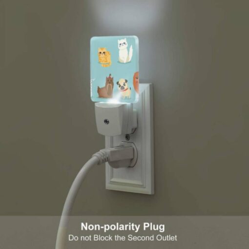 Night Light, A Collection Of Different Colored Cats And Dogs. -Acrylic Night Light Shop 9b32a937e66bbb501314d7f40b4adf84cd6f98e9