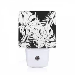 Night Light, A Black And White Photo Of A Leafy Plant.