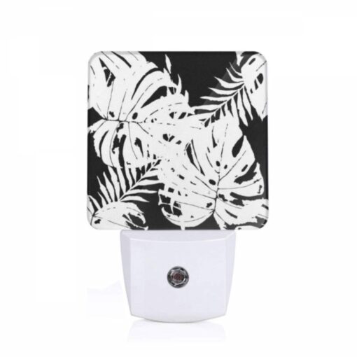 Night Light, A Black And White Photo Of A Leafy Plant. -Acrylic Night Light Shop 9fd8591c1b09e2ba9b05fa5ea8c435ce7170cb54