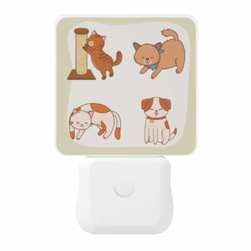Night Light, Four Different Colored Cats Are Shown Playing With A Toy. -Acrylic Night Light Shop 9fe5adfaf92fcf5fab8b291135035f76ea7b5db0