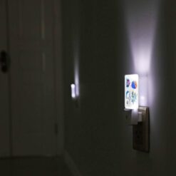 Night Light, A Colorful Fish And A Blue Fish Are Shown Together. -Acrylic Night Light Shop a3fb7a41df3d8118aaff859dae6b297eff7cb75f