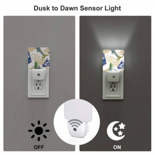 Night Light Set Of 2, A Group Of Fish Swimming In The Water. -Acrylic Night Light Shop a4e02a0aef9675a2edc0f402c01db7882883e46b